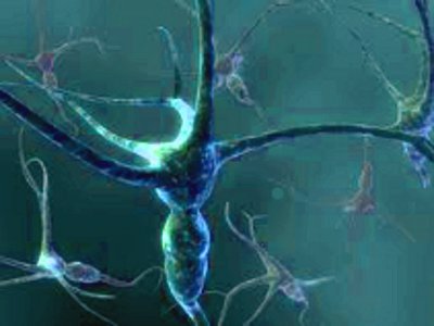 Imagem: Divulgação<BR />Um dos programas de Residência Médica mais procurados é a neurocirurgia