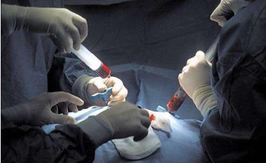 Hemominas realiza cadastro de medula óssea  